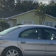 Illustration for article titled Step aside, Florida Man: Florida Dog has arrived to drive donuts in front of your house